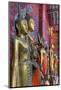 Statues of Buddha Inside Buddhist Temple, Luang Prabang, Laos-Jaynes Gallery-Mounted Photographic Print