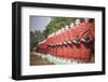 Statues of Disciples of Arahant, Myanmar (Burma)-Matthew Williams-Ellis-Framed Photographic Print