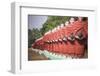 Statues of Disciples of Arahant, Myanmar (Burma)-Matthew Williams-Ellis-Framed Photographic Print