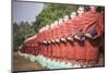 Statues of Disciples of Arahant, Myanmar (Burma)-Matthew Williams-Ellis-Mounted Photographic Print