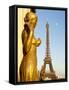 Statues of Palais De Chaillot and Eiffel Tower, Paris, France, Europe-Richard Nebesky-Framed Stretched Canvas