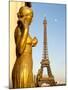 Statues of Palais De Chaillot and Eiffel Tower, Paris, France, Europe-Richard Nebesky-Mounted Photographic Print