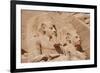 Statues of Pharaoh Ramesses II decorating facade of temple, The Great Temple, Abu Simbel, Nubia-Derek Hall-Framed Photographic Print