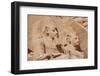 Statues of Pharaoh Ramesses II decorating facade of temple, The Great Temple, Abu Simbel, Nubia-Derek Hall-Framed Photographic Print
