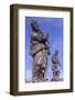 Statues of Prophets Outside the Sanctuary of Bom Jesus Do Congonhas, Brazil-Alfred Eisenstaedt-Framed Photographic Print