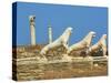 Statues on the Lion Terrace, Delos, UNESCO World Heritage Site, Cyclades Islands, Greek Islands, Gr-Tuul-Stretched Canvas