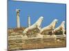 Statues on the Lion Terrace, Delos, UNESCO World Heritage Site, Cyclades Islands, Greek Islands, Gr-Tuul-Mounted Photographic Print