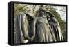 Statues Representing Death and Mourning on the Confederate Memorial, Shiloh, Tennessee-null-Framed Stretched Canvas