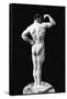 Statuesque Back and Arm Curl-null-Framed Stretched Canvas