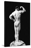 Statuesque Back and Arm Curl-null-Stretched Canvas