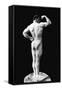Statuesque Back and Arm Curl-null-Framed Stretched Canvas