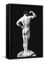 Statuesque Back and Arm Curl-null-Framed Stretched Canvas