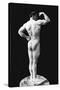 Statuesque Back and Arm Curl-null-Stretched Canvas