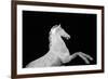 Statuesque Horse-Irene Suchocki-Framed Giclee Print