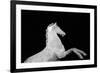 Statuesque Horse-Irene Suchocki-Framed Giclee Print