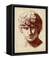 Statuesque Study II-Jennifer Parker-Framed Stretched Canvas