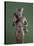 statuette de la déesse Bastet tenant le panier, l'égide et le sistre-null-Stretched Canvas