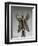 Statuette du Démon Pazuzu-null-Framed Giclee Print