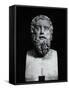 Statuette of Greek Comedy Writer Aristophanes-null-Framed Stretched Canvas