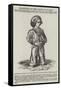 Statuette of Hrh the Prince of Wales-Franz Xaver Winterhalter-Framed Stretched Canvas