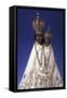 Statuette of the Virgin Mary of Svatá Hora-null-Framed Stretched Canvas