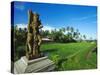 Staue of Raksha in a Rice Field, Ubud, Gianyar, Bali-Robert Francis-Stretched Canvas