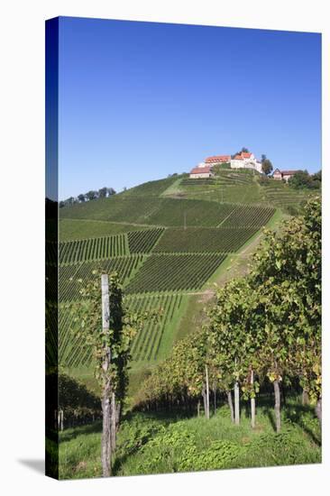 Staufenberg Castle, Durbach, Black Forest, Baden Wurttemberg, Germany, Europe-Markus-Stretched Canvas