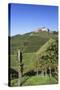 Staufenberg Castle, Durbach, Black Forest, Baden Wurttemberg, Germany, Europe-Markus-Stretched Canvas