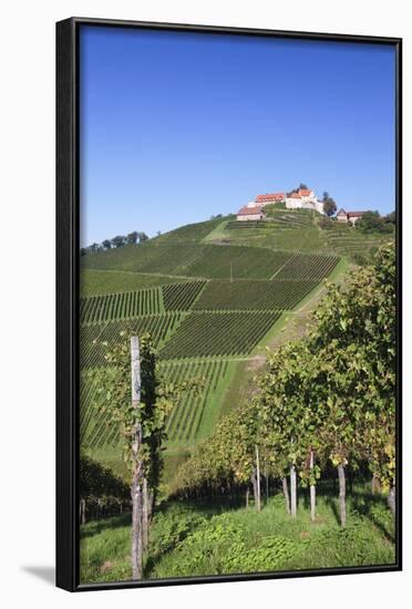 Staufenberg Castle, Durbach, Black Forest, Baden Wurttemberg, Germany, Europe-Markus-Framed Photographic Print