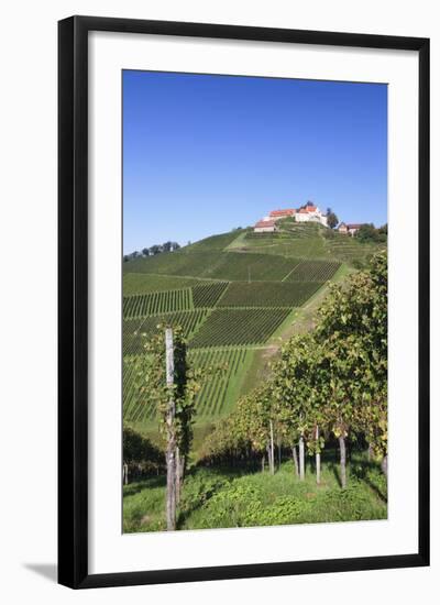 Staufenberg Castle, Durbach, Black Forest, Baden Wurttemberg, Germany, Europe-Markus-Framed Photographic Print