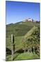 Staufenberg Castle, Durbach, Black Forest, Baden Wurttemberg, Germany, Europe-Markus-Mounted Photographic Print