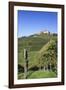 Staufenberg Castle, Durbach, Black Forest, Baden Wurttemberg, Germany, Europe-Markus-Framed Photographic Print