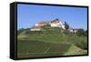 Staufenberg Castle, Durbach, Black Forest, Baden Wurttemberg, Germany, Europe-Markus-Framed Stretched Canvas