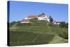 Staufenberg Castle, Durbach, Black Forest, Baden Wurttemberg, Germany, Europe-Markus-Stretched Canvas