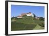 Staufenberg Castle, Durbach, Black Forest, Baden Wurttemberg, Germany, Europe-Markus-Framed Photographic Print