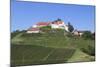 Staufenberg Castle, Durbach, Black Forest, Baden Wurttemberg, Germany, Europe-Markus-Mounted Photographic Print