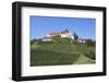 Staufenberg Castle, Durbach, Black Forest, Baden Wurttemberg, Germany, Europe-Markus-Framed Photographic Print