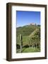 Staufenberg Castle, Durbach, Black Forest, Baden Wurttemberg, Germany, Europe-Markus-Framed Photographic Print