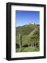 Staufenberg Castle, Durbach, Black Forest, Baden Wurttemberg, Germany, Europe-Markus-Framed Photographic Print