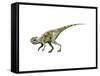 Staurikosaurus Dinosaur-null-Framed Stretched Canvas