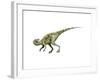 Staurikosaurus Dinosaur-null-Framed Art Print