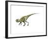 Staurikosaurus Dinosaur-null-Framed Art Print