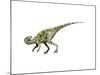 Staurikosaurus Dinosaur-null-Mounted Art Print