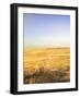 Stay Calm and Take the Two Track-Amanda Lee Smith-Framed Photographic Print