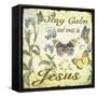 Stay Calm-Jesus-Butterflies-Jean Plout-Framed Stretched Canvas