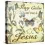 Stay Calm-Jesus-Butterflies-Jean Plout-Stretched Canvas