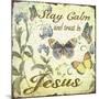 Stay Calm-Jesus-Butterflies-Jean Plout-Mounted Giclee Print