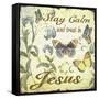 Stay Calm-Jesus-Butterflies-Jean Plout-Framed Stretched Canvas