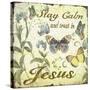 Stay Calm-Jesus-Butterflies-Jean Plout-Stretched Canvas