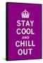 Stay Cool and Chill Out-The Vintage Collection-Framed Stretched Canvas